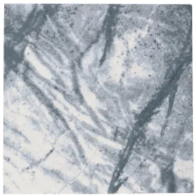 National Pool Tile 1 Sq-Ft. Serpentine Gray Tile - SPN-GRAY